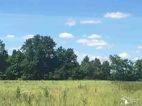 12385 Wilson, Carleton, MI 48117 photo 5