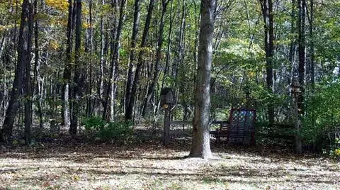 9545 Sayers, Munith, MI 49259 photo 21