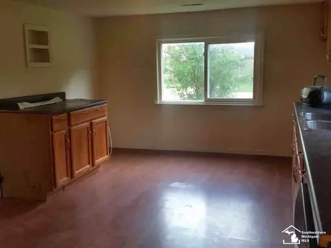 10040 Henry, Maybee, MI 48159 photo 7
