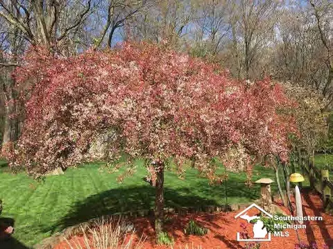 930 Donnalee, Monroe, MI 48162 photo 5