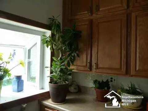 8003 Jackman, Temperance, MI 48182 photo 24