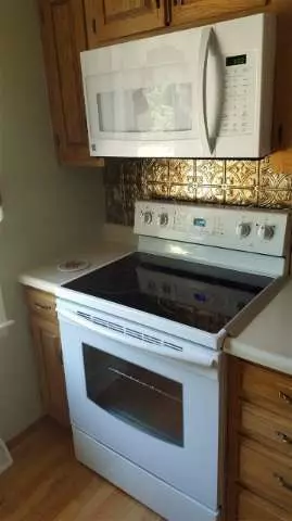 6221 Burning Tree, Jackson, MI 49201 photo 9