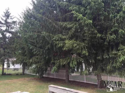917 Whitman, Temperance, MI 48182 photo 16