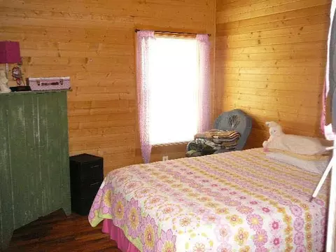 7318 Mathews, Spring Arbor, MI 49283 photo 20