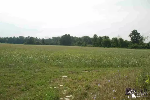 11074 Finzel, Carleton, MI 48117 photo 40