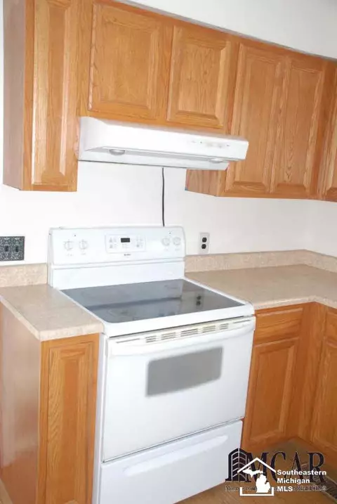 11074 Finzel, Carleton, MI 48117 photo 13