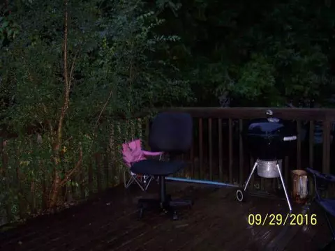 6080 S Draper, Jackson, MI 49201 photo 19