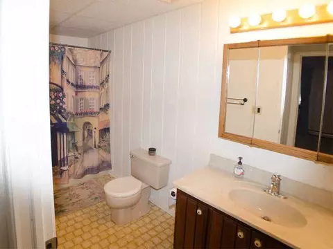 6651 Wheaton, Jackson, MI 49201 photo 21