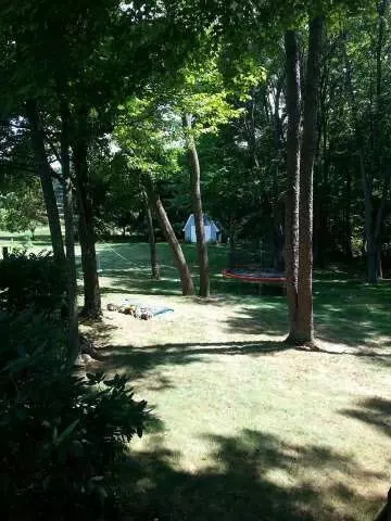 6226 Burning Tree, Jackson, MI 49201 photo 25