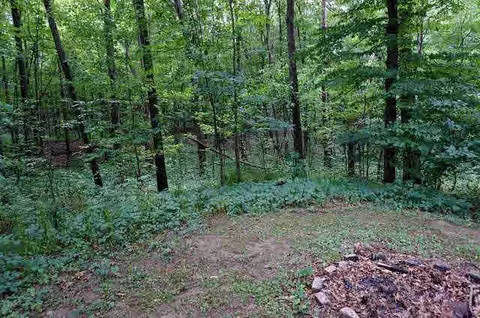 11350 Bunkerhill, Jackson, MI 49201 photo 19