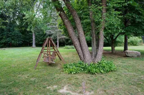 11350 Bunkerhill, Jackson, MI 49201 photo 11