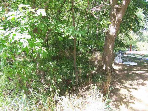 203 Dutch Mill Dr, Other, MI 48433 photo 4