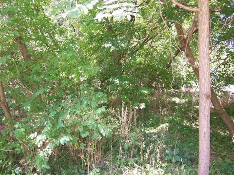 203 Dutch Mill Dr, Other, MI 48433 photo 3