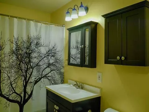 401 Richard, Spring Arbor, MI 49283 photo 5