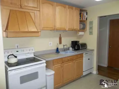 29277 Red Cedar, Flat Rock, MI 48134 photo 2