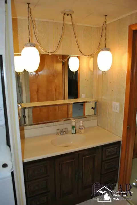 365 Sidney, Dundee, MI 48131 photo 29