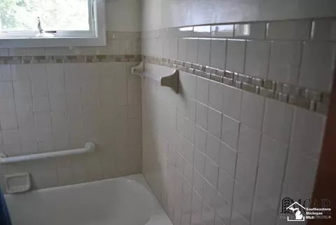365 Sidney, Dundee, MI 48131 photo 14