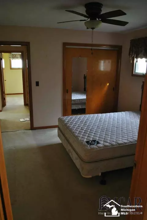 365 Sidney, Dundee, MI 48131 photo 16