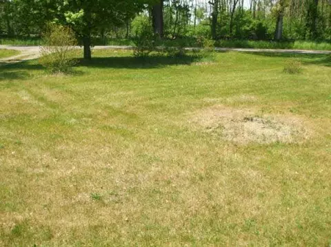 6247 Brown, Parma, MI 49269 photo 13