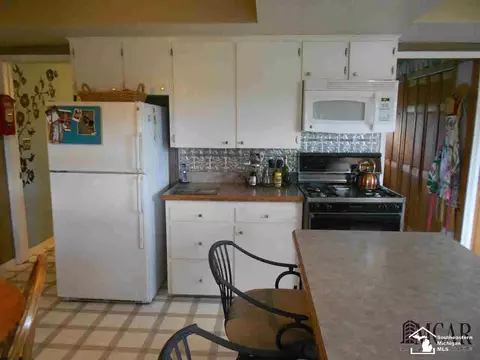 9579 Liedel, Maybee, MI 48159 photo 21
