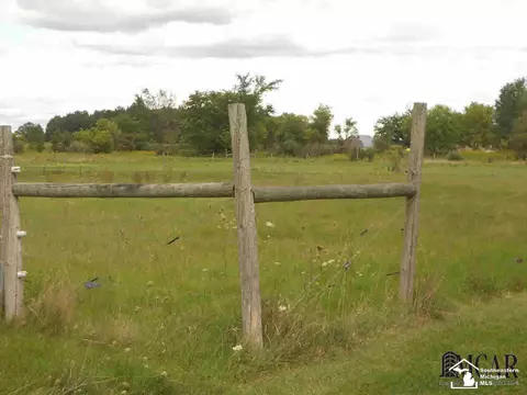 9579 Liedel, Maybee, MI 48159 photo 14