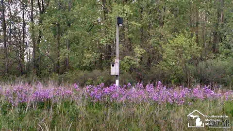 9579 Liedel, Maybee, MI 48159 photo 39