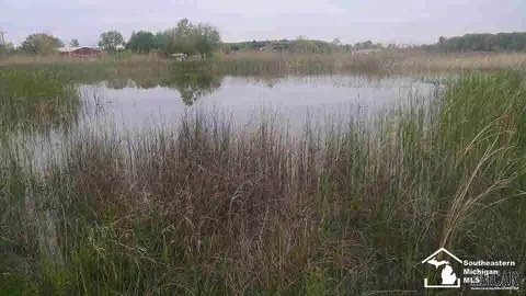 9579 Liedel, Maybee, MI 48159 photo 37