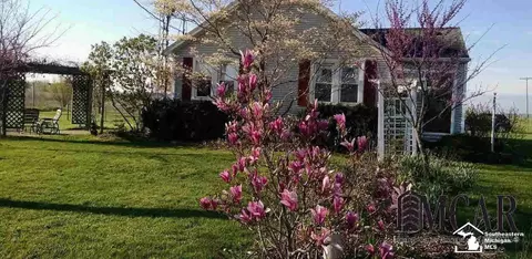 9579 Liedel, Maybee, MI 48159 photo 38