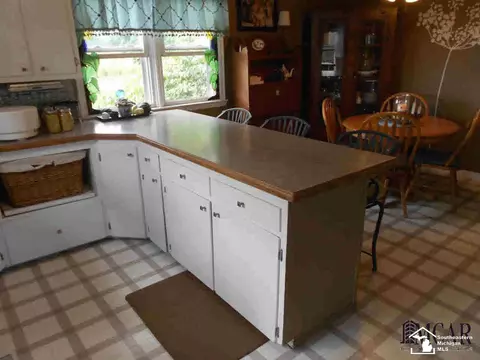 9579 Liedel, Maybee, MI 48159 photo 18