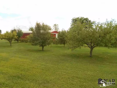 9579 Liedel, Maybee, MI 48159 photo 15