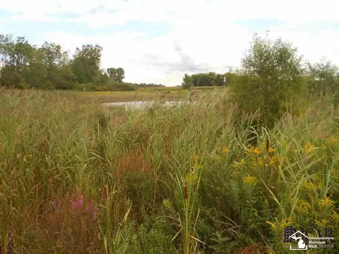 9579 Liedel, Maybee, MI 48159 photo 9