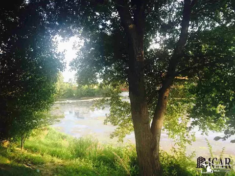 824 Elm, Monroe, MI 48162 photo 8