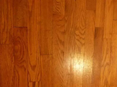 209 Bradley, Jackson, MI 49201 photo 23