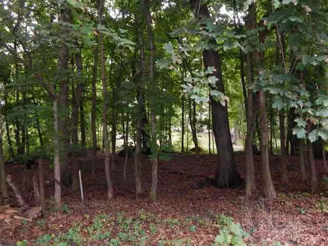 2515 Horton, Jackson, MI 49203 photo 33