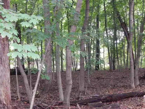 2515 Horton, Jackson, MI 49203 photo 32