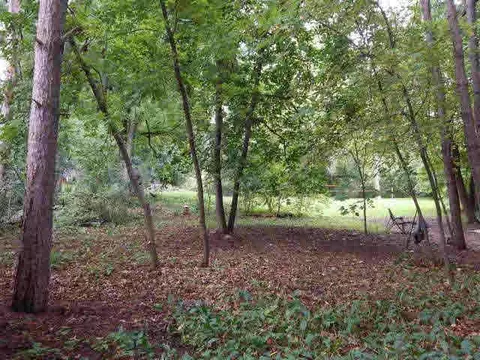 2515 Horton, Jackson, MI 49203 photo 34