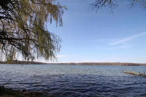 215 Ready, Munith, MI 49259 photo 13