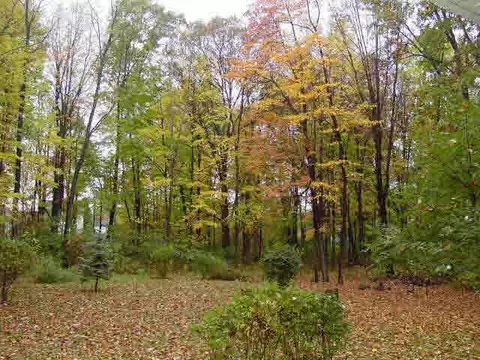 6031 Leora, Jackson, MI 49201 photo 25