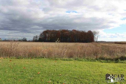 6780 Rea Rd, Dundee, MI 48131 photo 21