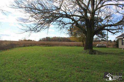 6780 Rea Rd, Dundee, MI 48131 photo 27