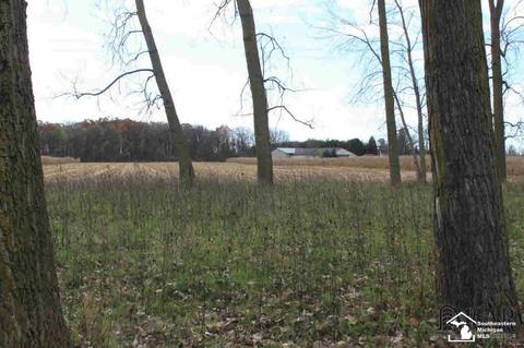 6780 Rea Rd, Dundee, MI 48131 photo 30