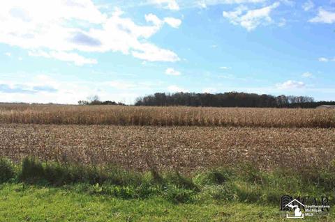 6780 Rea Rd, Dundee, MI 48131 photo 24