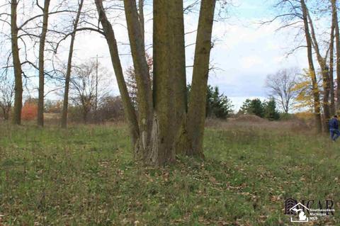6780 Rea Rd, Dundee, MI 48131 photo 31