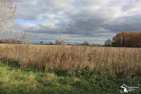 6780 Rea Rd, Dundee, MI 48131 photo 26