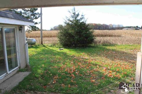 6780 Rea Rd, Dundee, MI 48131 photo 20