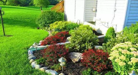 21800 Wasson, Gregory, MI 48137 photo 8