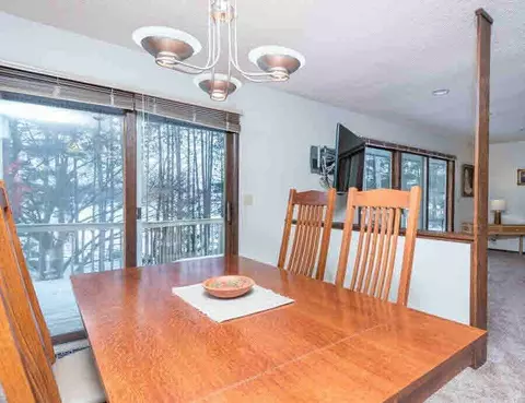 11223 Pinewood, Jerome, MI 49249 photo 13