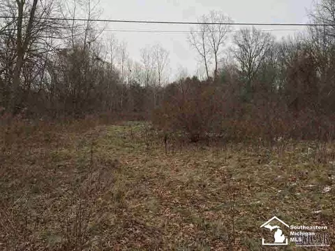 15509 S Huron Riv, Romulus, MI 48174 photo 4