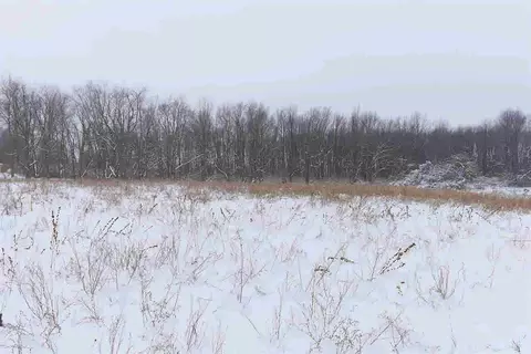 10065 Spring Arbor, Spring Arbor, MI 49283 photo 9