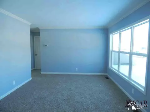 588 First, Dundee, MI 48131 photo 3